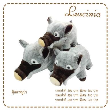 หมูป่า สีเทาดำ 