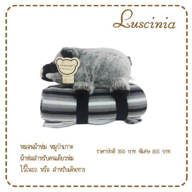 หมูป่ากอดผ้าห่ม