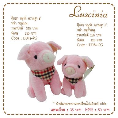 ตุ๊กตาหมู ชมพู 