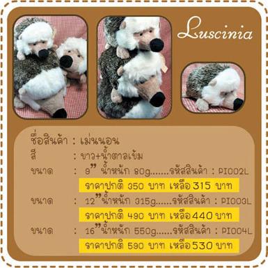 เม่น ท่านอน