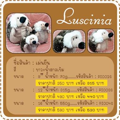 เม่น ท่ายืน